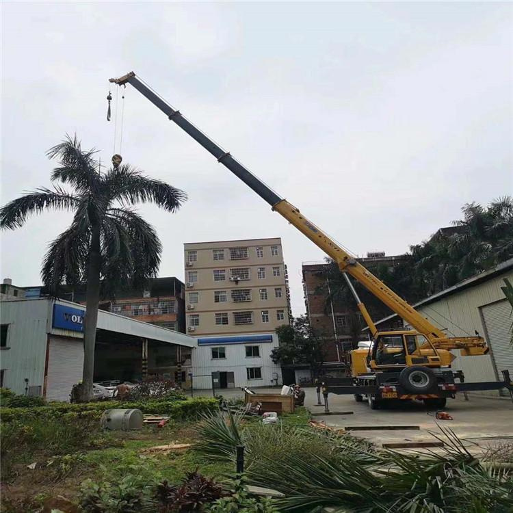 洋浦经济开发区汽车吊出租多少钱？全面解析与市场行情